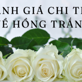 Danh-gia-chi-tiet-ve-HONG-TRANG-680×400.png