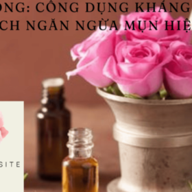 Untitled-design-5-680×400.png